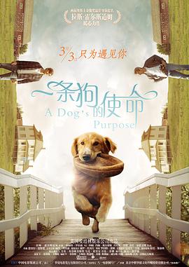 蓝光手机在线看