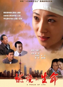 完结高清影视
