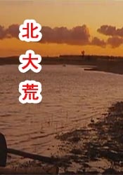 BD国语电影免费在线