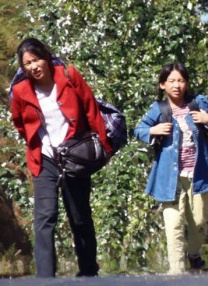 BD国语全集免费观看