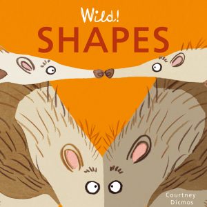 WILD! Shapes