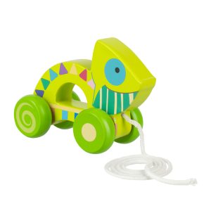 Chameleon Pull Along