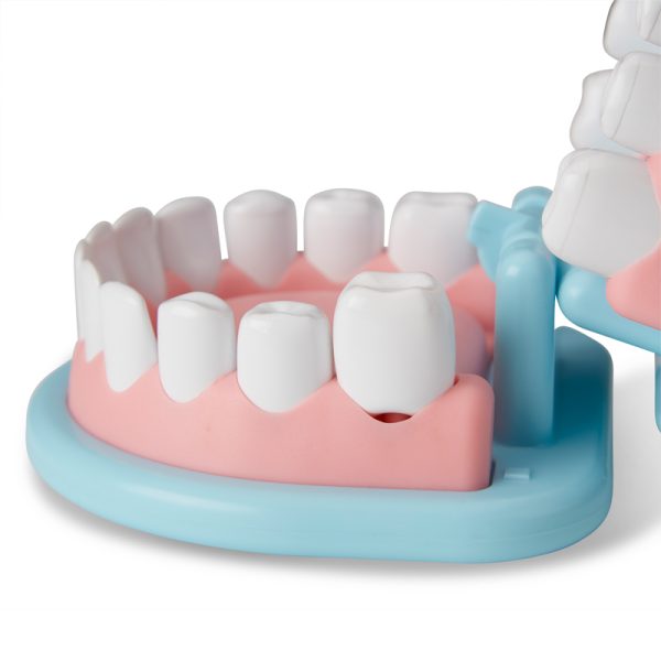 Super Smile Dentist Play Set - Image 5
